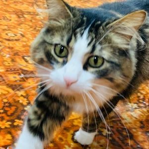 Meet your Posher, Gabrielle